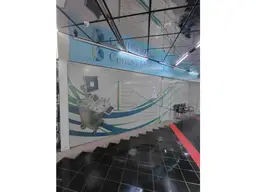 Vista 5
