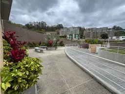 Vista 19