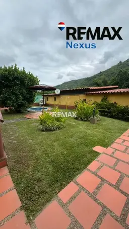 Vista 4