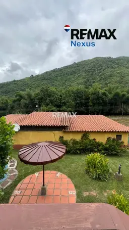 Vista 5