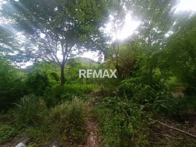 TERRENO POTENCIAL PARA INVERSIÓN COMERCIAL, EN SECTOR COCHEIMA - 2
