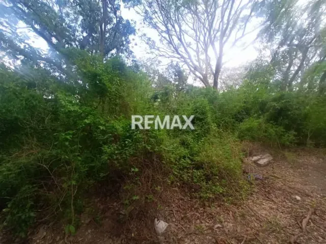 TERRENO POTENCIAL PARA INVERSIÓN COMERCIAL, EN SECTOR COCHEIMA - 3