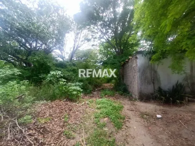 TERRENO POTENCIAL PARA INVERSIÓN COMERCIAL, EN SECTOR COCHEIMA - 6