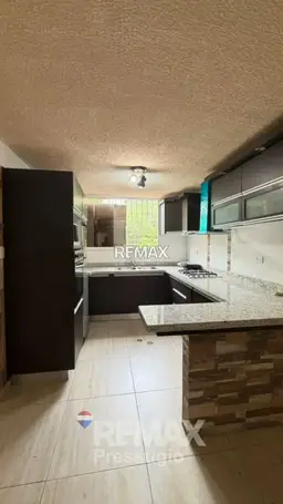 Vista 19