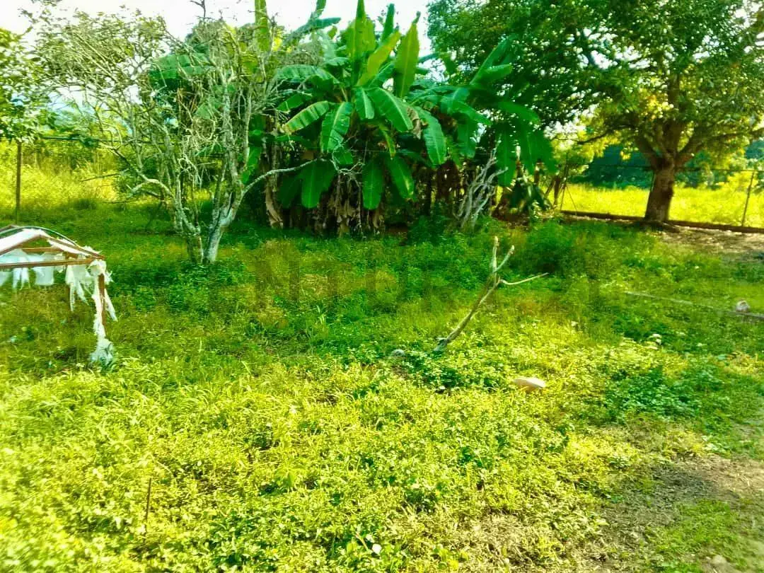 Venta de Hacienda en Yaracuy, Nirgua - 11