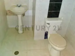 Vista 6