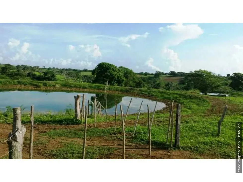 En venta Finca 35 has, Yaracal, El Mene, Falcon.3383802
