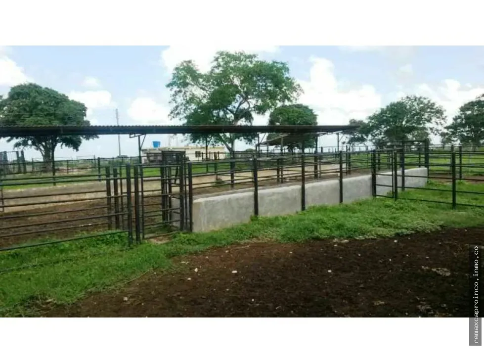 En venta Finca 35 has, Yaracal, El Mene, Falcon.3383802 - 13