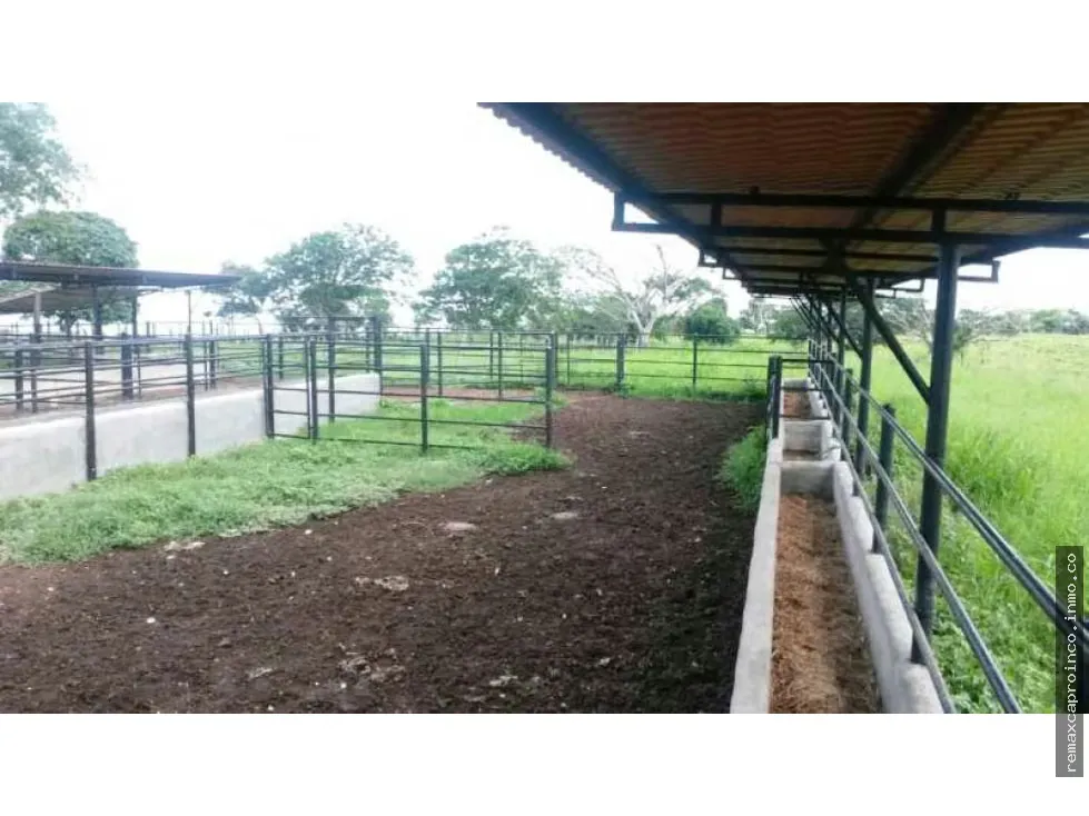 En venta Finca 35 has, Yaracal, El Mene, Falcon.3383802 - 14
