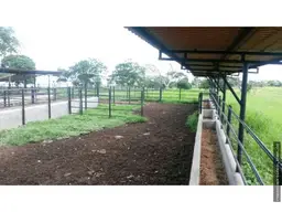 View 14