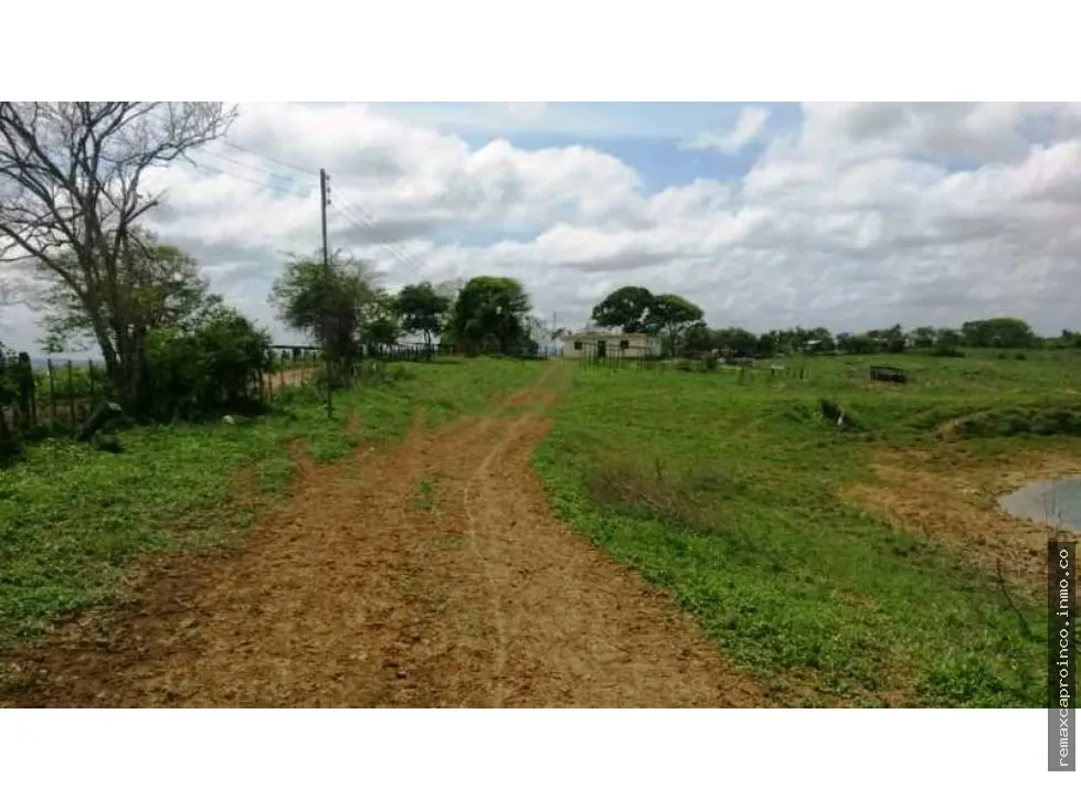 En venta Finca 35 has, Yaracal, El Mene, Falcon.3383802 - 16
