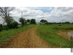 View 16