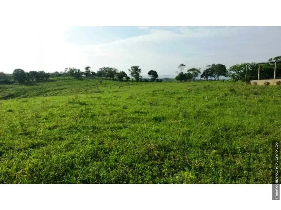En venta Finca 35 has, Yaracal, El Mene, Falcon.3383802 - 2