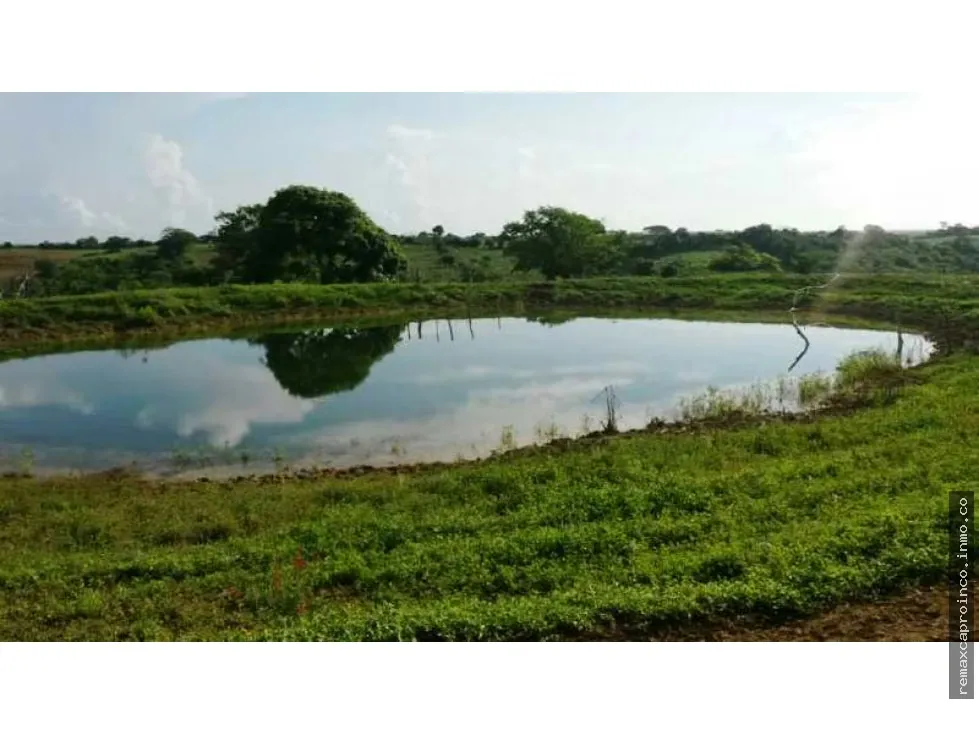 En venta Finca 35 has, Yaracal, El Mene, Falcon.3383802 - 4