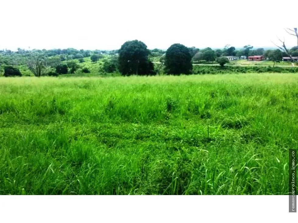 En venta Finca 35 has, Yaracal, El Mene, Falcon.3383802 - 6