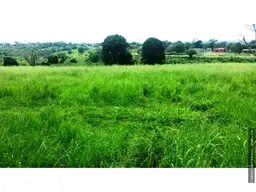 View 6