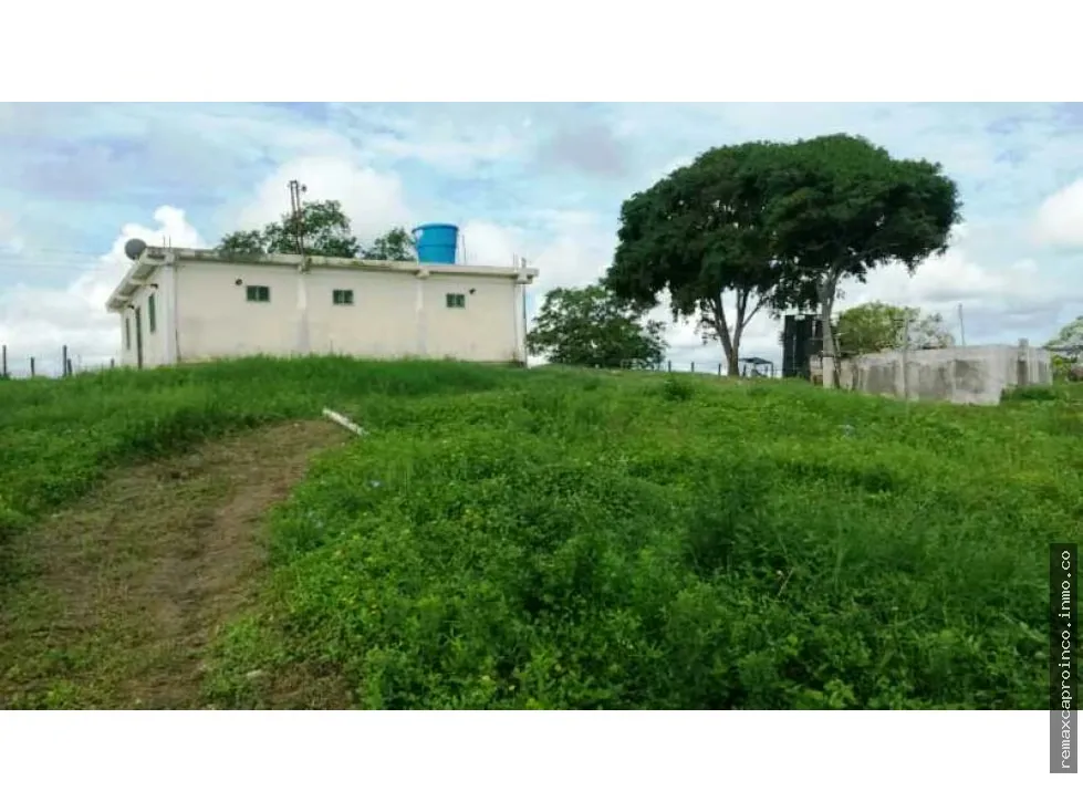 En venta Finca 35 has, Yaracal, El Mene, Falcon.3383802 - 10