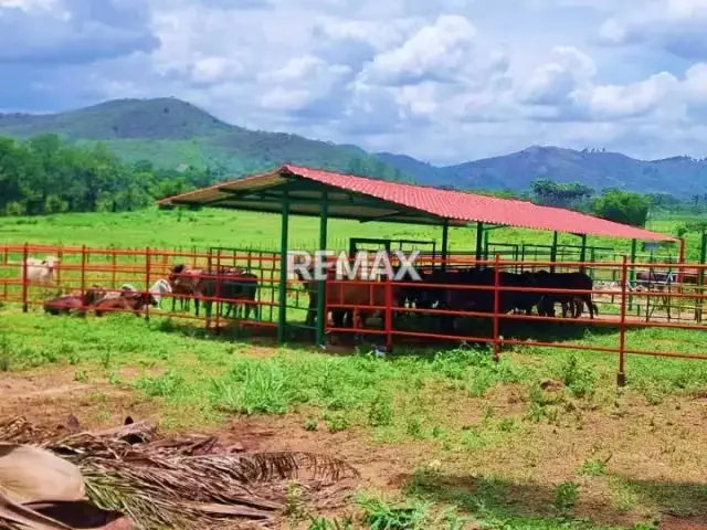 Máxima Productividad en Montalban: Finca Totalmente Equipada y con Abundante Agua
