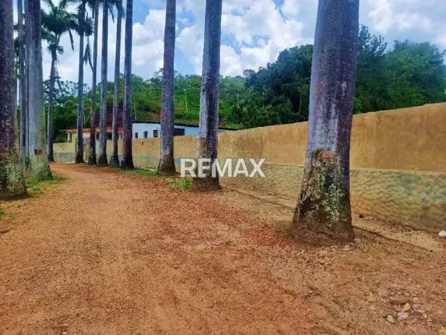 Máxima Productividad en Montalban: Finca Totalmente Equipada y con Abundante Agua - 3