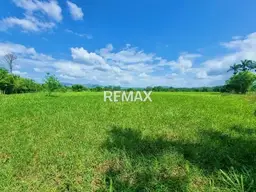 Vista 5