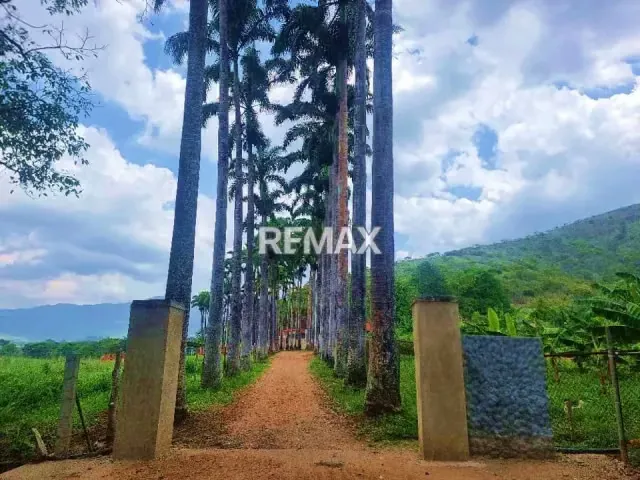 Máxima Productividad en Montalban: Finca Totalmente Equipada y con Abundante Agua - 7