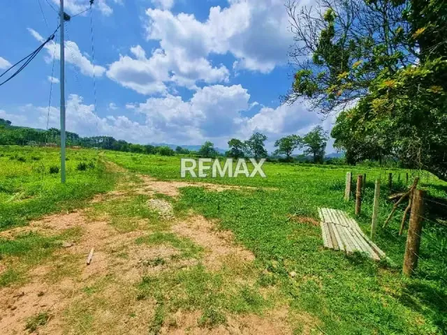 Máxima Productividad en Montalban: Finca Totalmente Equipada y con Abundante Agua - 9