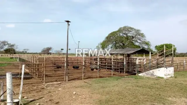 Venta de Finca de Alta Productividad en Arismendi OPORTUNIDAD DE INVERSIÓN