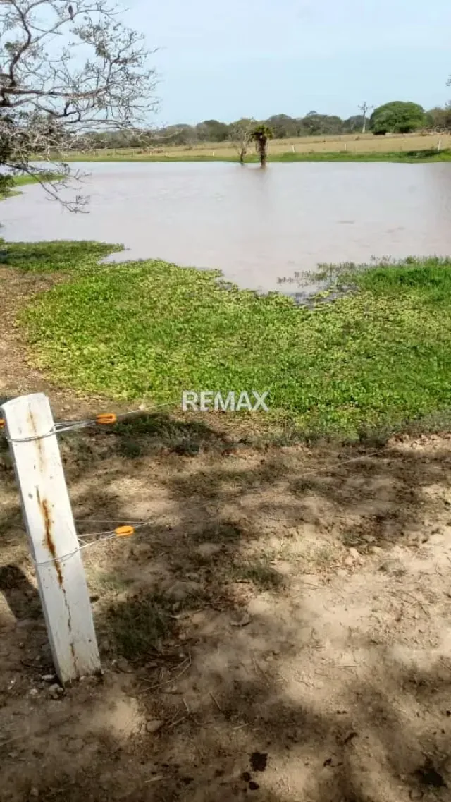 Venta de Finca de Alta Productividad en Arismendi OPORTUNIDAD DE INVERSIÓN - 15