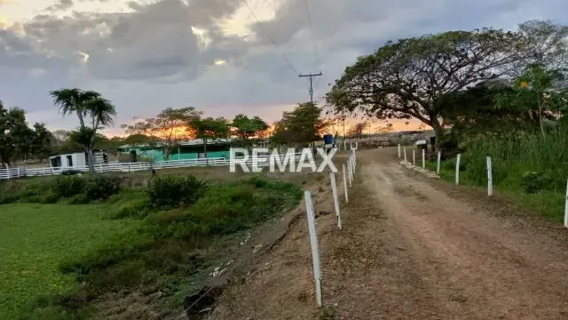 Venta de Finca de Alta Productividad en Arismendi OPORTUNIDAD DE INVERSIÓN - 16