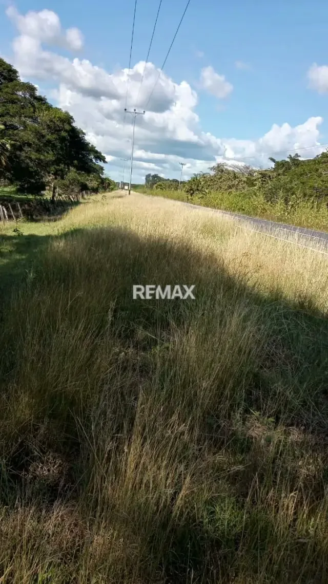 Venta de Finca de Alta Productividad en Arismendi OPORTUNIDAD DE INVERSIÓN - 2