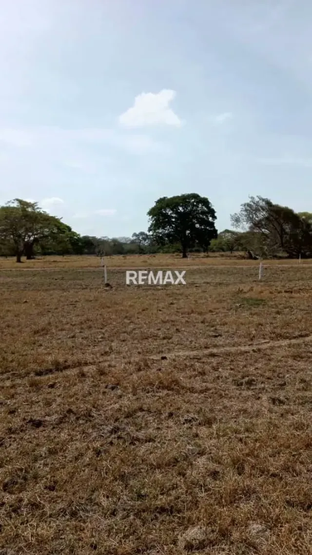 Venta de Finca de Alta Productividad en Arismendi OPORTUNIDAD DE INVERSIÓN - 3