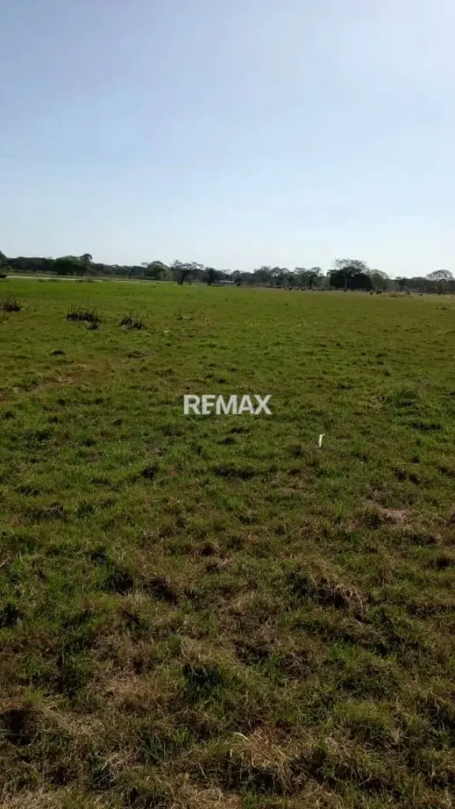 Venta de Finca de Alta Productividad en Arismendi OPORTUNIDAD DE INVERSIÓN - 9