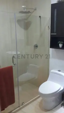 View 15