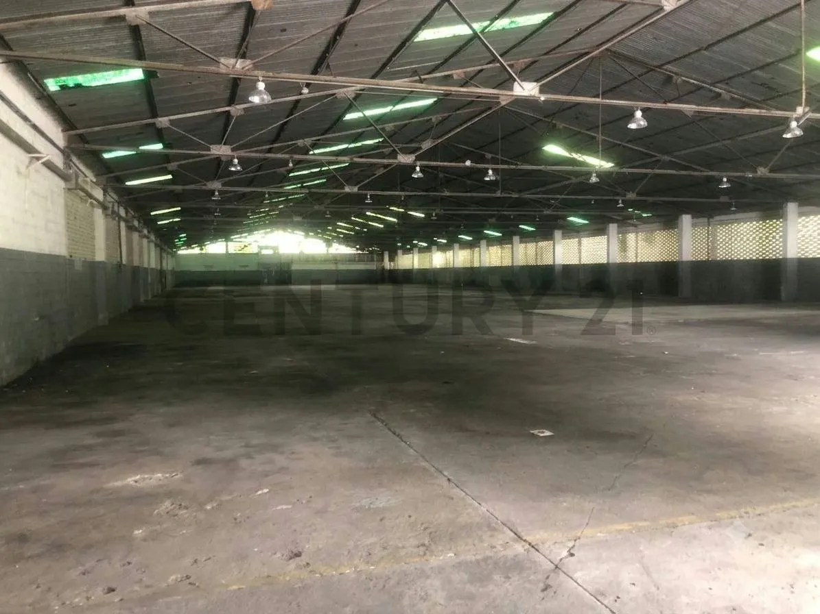 HA-Exclusivo Galpón Industrial Ubicación Privilegiada en San Diego de los Altos - 4