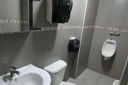 Vista 16