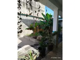 View 12