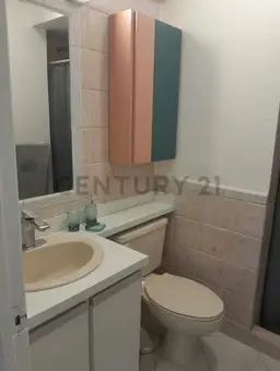 Vista 18