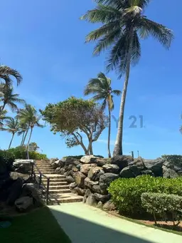 Vista 35