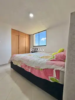 Vista 11