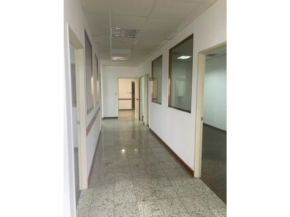 Alquilo oficina 245m2 Boleita Norte 0100 - 6