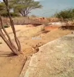 Vista 4