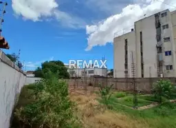 Vista 6
