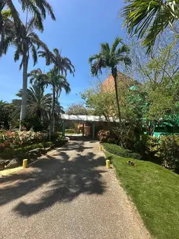 View 3
