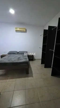 Vista 16