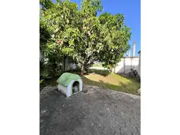 View 8