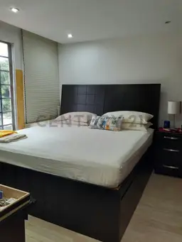 Vista 11