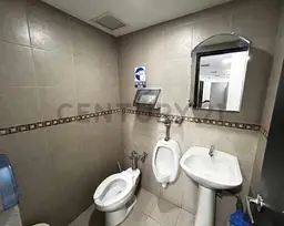 Vista 15