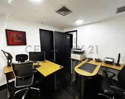 Vista 5