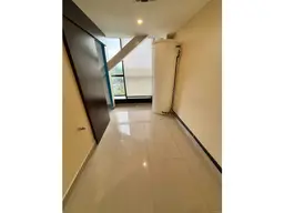 Vista 14