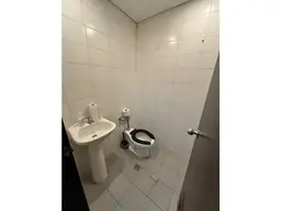 Vista 19